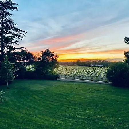 Chateau Bois-martin * Léognan